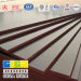 GIGA 11 layers poplar core WBP film faced plywood manufacturer