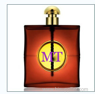 Brand name perfume for women-Y S L