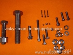 Titanium screw and nuts