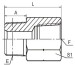 BSPT male/ BSPT female fittings