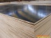 GIGA 4*8 1220*2440 brown melamine film faced plywood