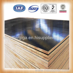 GIGA 18mm waterproof marine veneer plywood