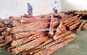 Red Sandal Wood For Sale