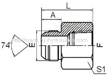 JIC male 74° cone/ BSPT female Fittings