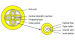 SM Multi-fiber fiber cable