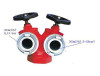 Indoor fire hydrant with two way outlet