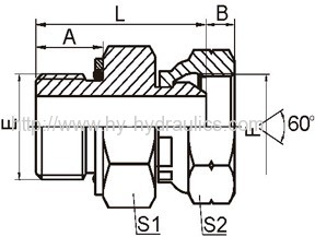 Metric male o-ring/BSPP female 60° cone Adapters 2HB