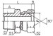 BSPT male/ / BSP male 60° cone Fittingss 2TB-SP