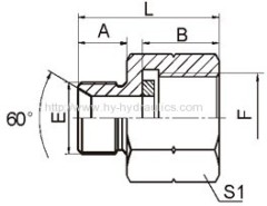 BSP male double use for 60° cone seat or bonded seal/ BSP female pressure gauge connectors