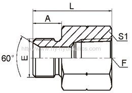 BSP male double use for 60° cone seat or bonded seal/ BSPT female Fittings 5BT