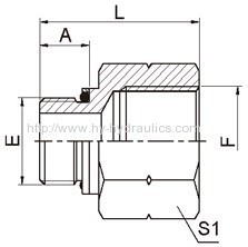 BSP male O-RING/ BSP female ISO 1179 Fittings 5GB