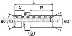 BSP male 60° seat Bulkhead Adapters 6B