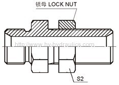 BSP male 60° seat Bulkhead Adapters 6B