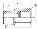 NPT male/ BSP female Adapters 5NB