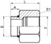 SAE male o-ring/ BSP female Adapters 5OB