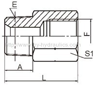 BSPT male/ BSP female Fittings