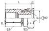 BSP female/BSP female 60° cone Adapters Fittings