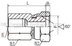 BSP female/BSP female 60° cone Adapters Fittings