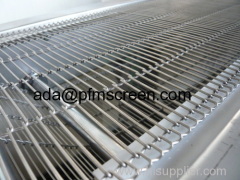 Stainless Steel Ladder Link Mesh Conveyor Belt