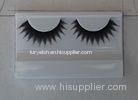 Reuable Brown Party False Eyelashes / Strip Lash Tip Mellow