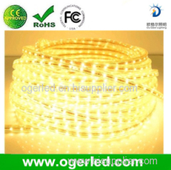 Outdoor IP67 wholesale 60led/m 3528&5050 flexible led strip for Decoration