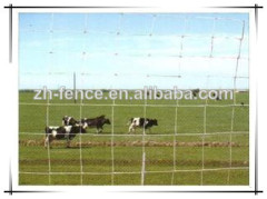 Galvanized Grassland Mesh Fence