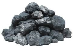 steam anthracite coal export ukraine
