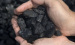 steam anthracite coal export ukraine