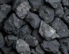 Steam Coal from Manufacturer Export Ukraine