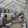 Party Tent Hire Party Tent Hire