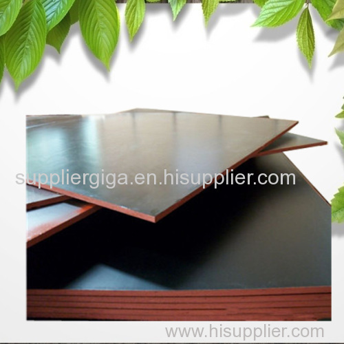 GIGA phenolic waterproof brown film faced plywood manufacturer