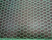 PVC coated hexagonal wire mesh PVC coated chicken wire mesh