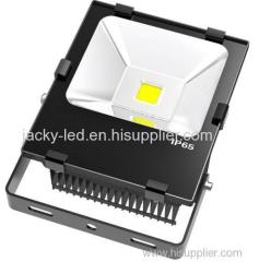 100W led flood light with Bridgelux COB 45mil LED and MeanWell Drive