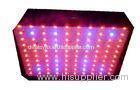 120V 220V Indoor LED Grow Lights , Hydroponic 250w Growth Lamp