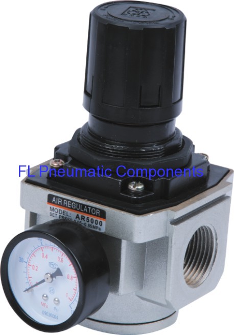 AR5000-10 Pneumatic Air Regulators