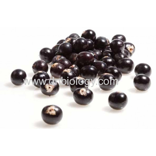 Acai berry P.E.Acai berry plant extract