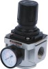 AR5000-06 Pneumatic Air Regulators