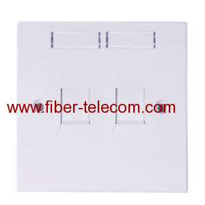 Double Port Network Wall Plate