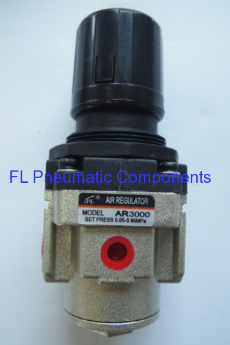 AR3000-02 Pressure Regulator with Gauge