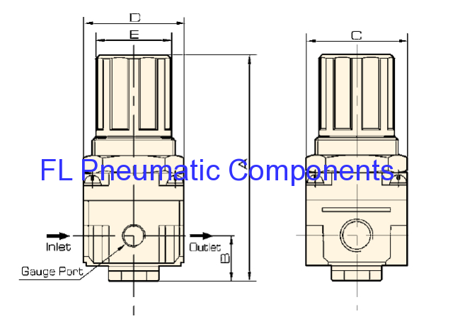 AR2500-02 Compressed Air Regulator