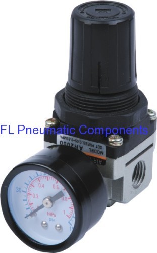 AR2500-02 FL Pneumatic Regulator