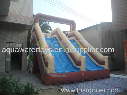 Wet N Dry Inflatable Slide