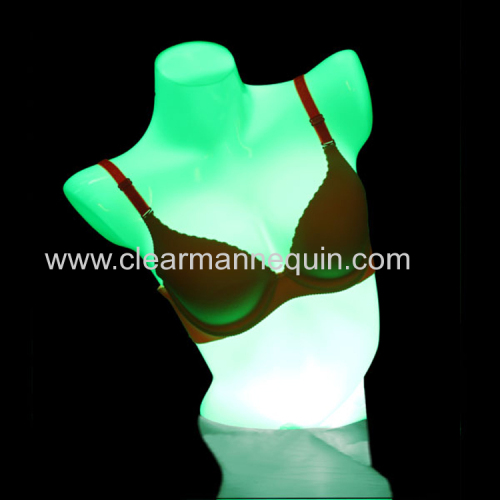 Blue LED light PC torso mannequin