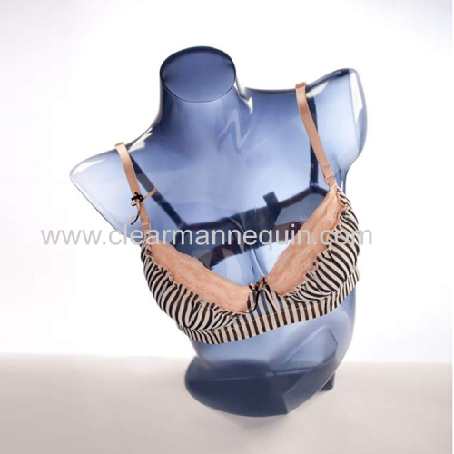 Blue & semi-transparent female torso mannequin