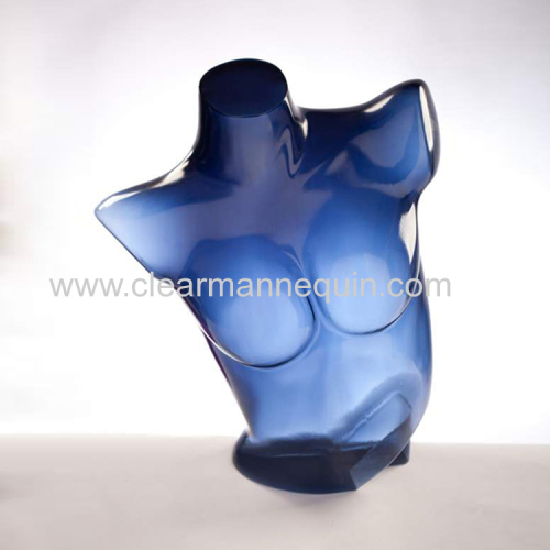Blue & semi-transparent female torso mannequin