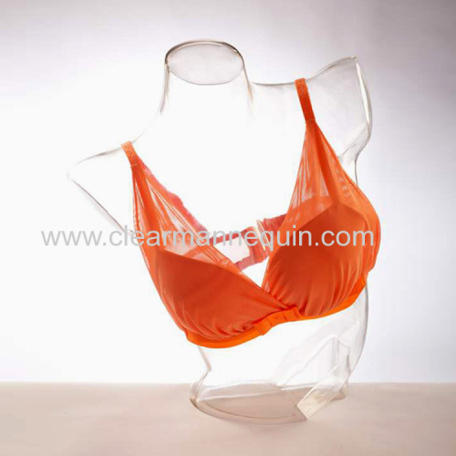 Clear transparent female torso mannequins