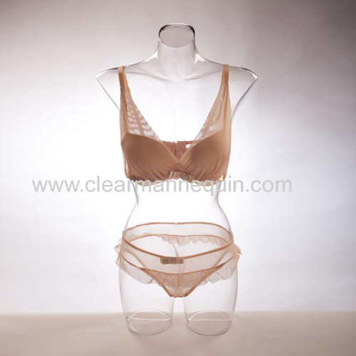 Transparent female torso mannequin whosale