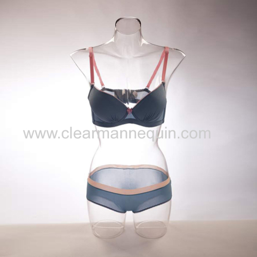 Transparent female torso mannequin whosale