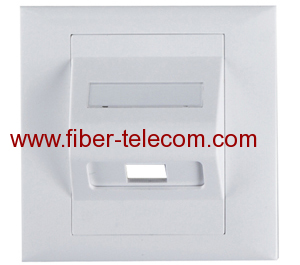 Faceplate for Fiber Optic Adaptor