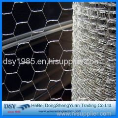 Hot dipped galvanized hexagonal wire mesh
